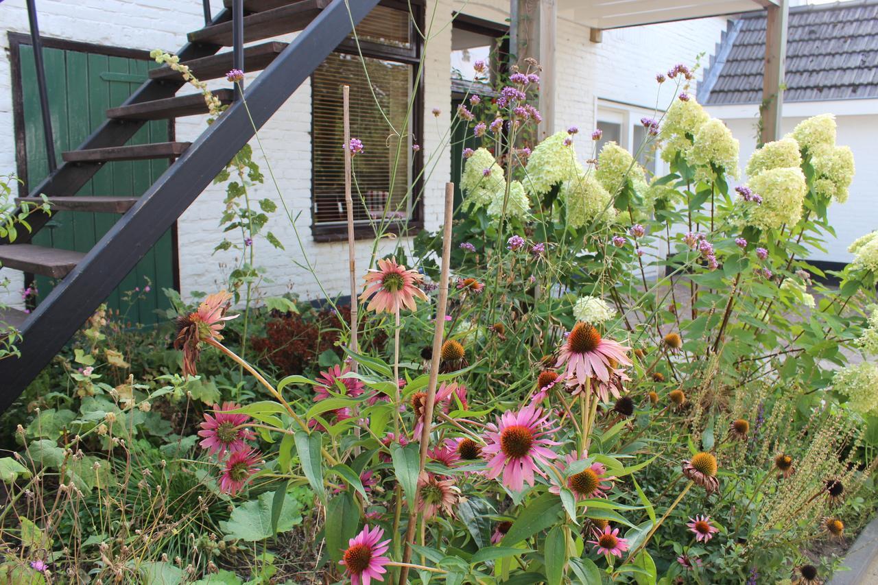 Het Aambeeld Bed & Breakfast Wanroij Exterior foto
