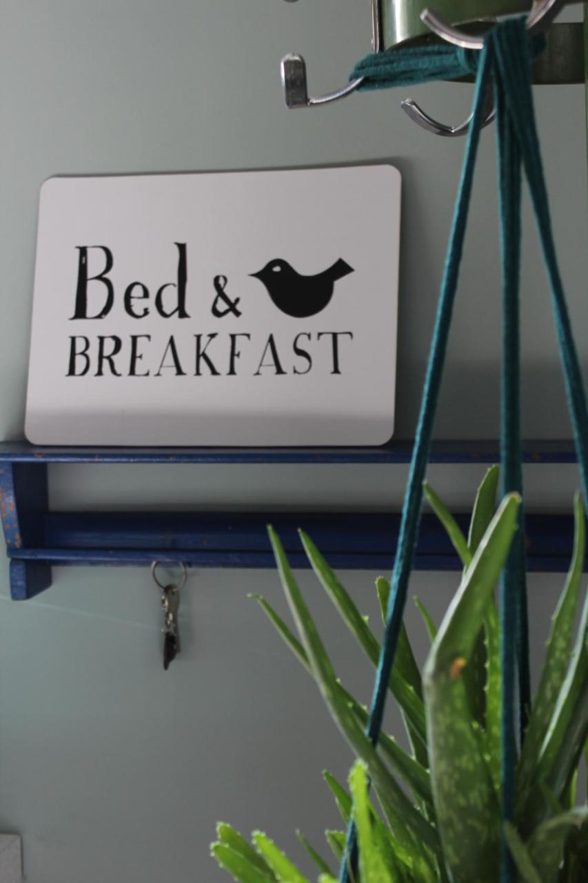 Het Aambeeld Bed & Breakfast Wanroij Exterior foto