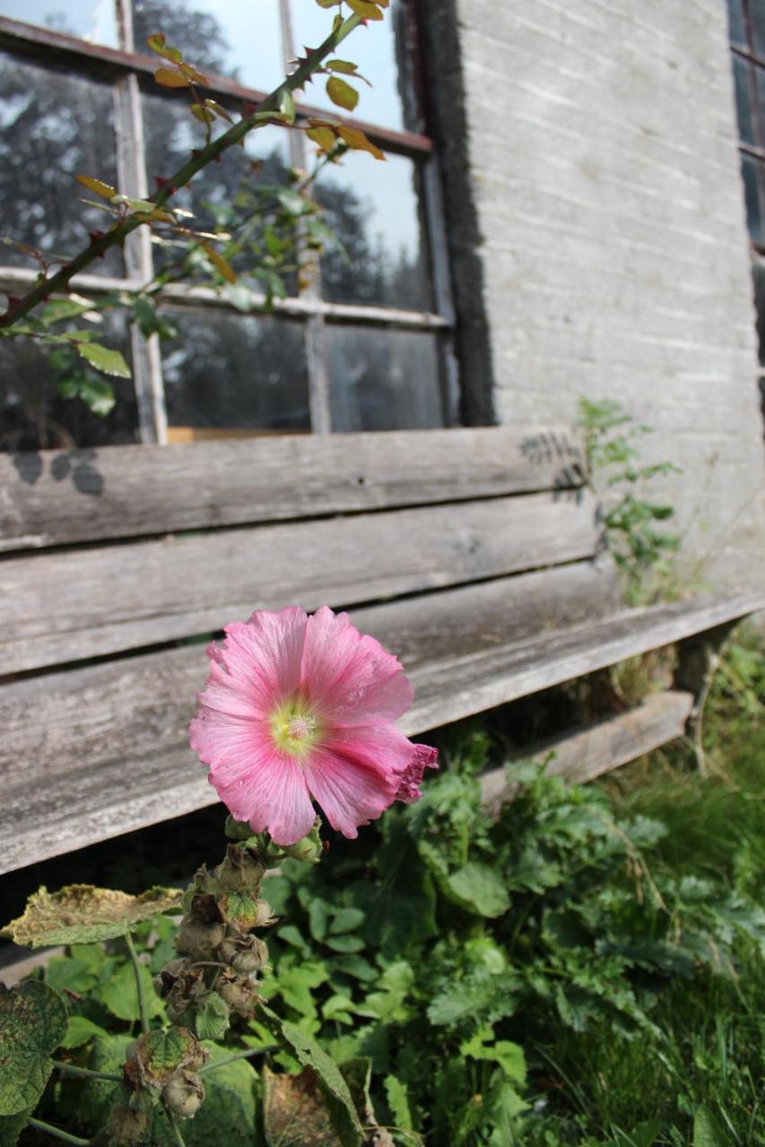 Het Aambeeld Bed & Breakfast Wanroij Exterior foto